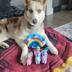 Fundraising Page: Nicolette DuBois